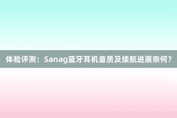 体验评测：Sanag蓝牙耳机音质及续航进展奈何？